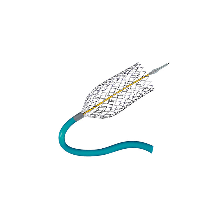 Stent para Arteria Carótida