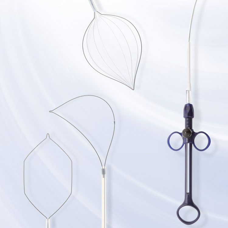 Ansa de Polipectomia